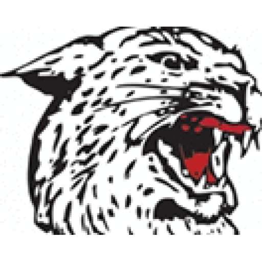 Northern Heights Wildcats logo