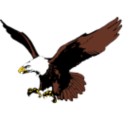 Southern Lyon County logo