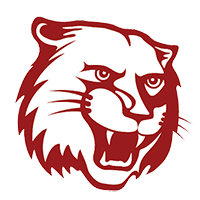 Washington Wildcats logo